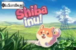 Shiba Inu
