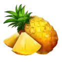 icon 4