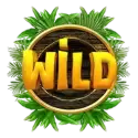 icon 10