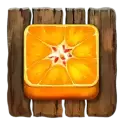 icon 9