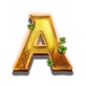 icon 6