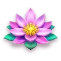 icon 4