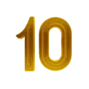 icon 10
