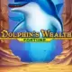 Dolphin's Wealth Fortune