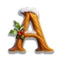icon 5