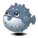 icon 6