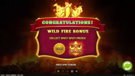 Spice Spice Baby! slot screenshot 4