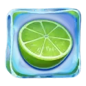 icon 6