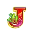 icon 8