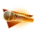 icon 6