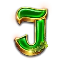 icon 10