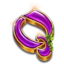 icon 9
