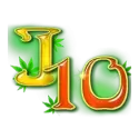 icon 9