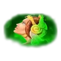 icon 2