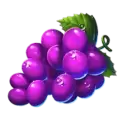icon 5