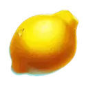 icon 6