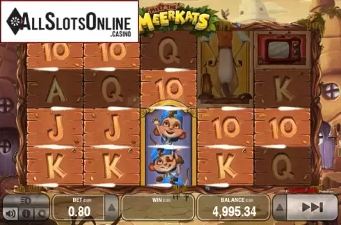 Wild. Meet the Meerkats from Push Gaming