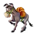 icon 6
