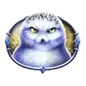 icon 3