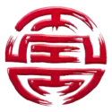 icon 5