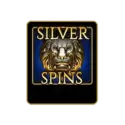 Bonus Buy Silver Spins