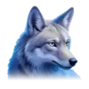 icon 4