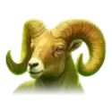 icon 5