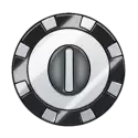 icon 10