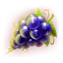 icon 11