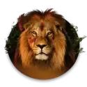 icon 1