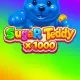 Sugar Teddy x1000