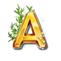 icon 6