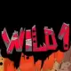 Wild 1