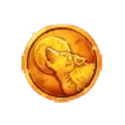 icon 12