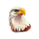 icon 2