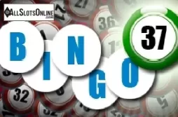 Bingo 37