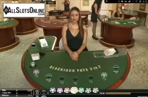Game Screen. Blackjack Live Casino (Vivogaming) from Vivo Gaming