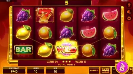 Book of Fruits 10 slot screenshot 2