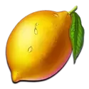 icon 5
