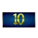 icon 10
