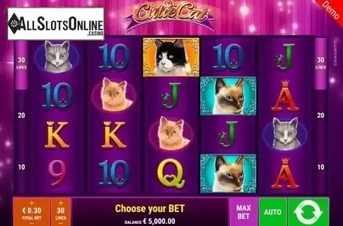 Reel Screen. Cutie Cat from Gamomat