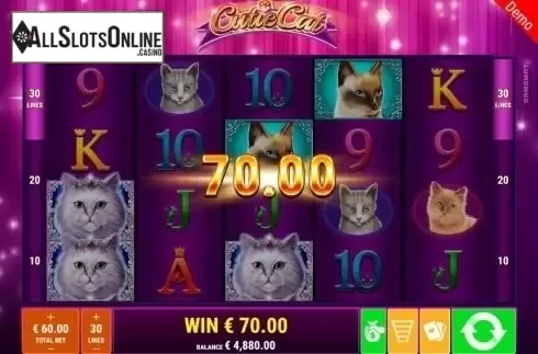 Win Screen. Cutie Cat from Gamomat