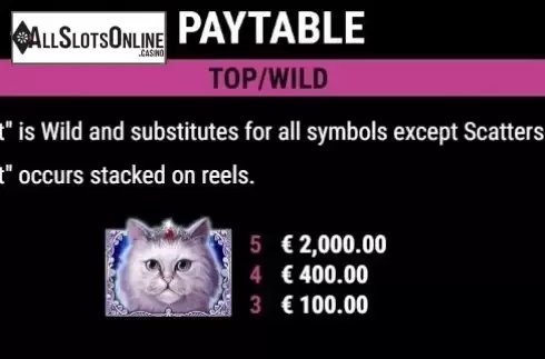 Wild. Cutie Cat from Gamomat
