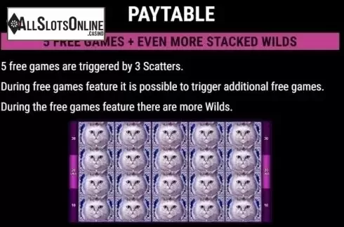 Free Spins. Cutie Cat from Gamomat
