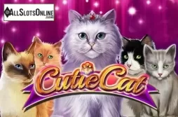 Cutie Cat