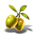 icon 5