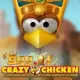 Golden Egg of Crazy Chicken