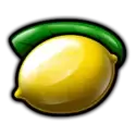 icon 9