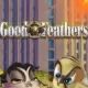 Good Feathers