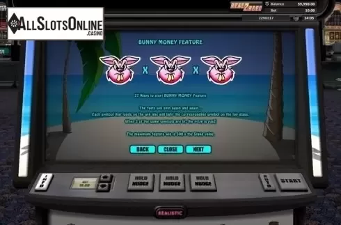 Paytable 2. Hot Cross Bunnies from Realistic
